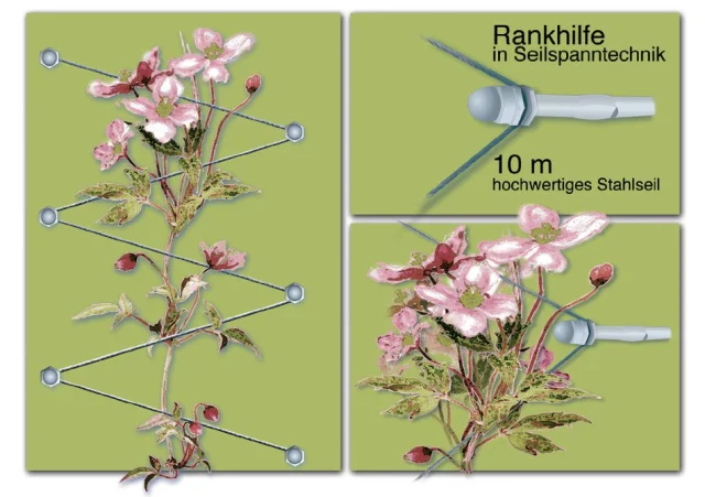 10 VE Versand-Kartondisplay -Floracord Rankhilfe in Seilspanntechnik - Stahl verzinkt - 10x Doppelblister