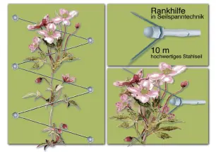 10 VE Versand-Kartondisplay -Floracord Rankhilfe in Seilspanntechnik - Stahl verzinkt - 10x Doppelblister