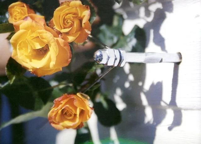 10 VE Versand-Kartondisplay -Floracord Rankhilfe in Seilspanntechnik - Stahl verzinkt - 10x Doppelblister