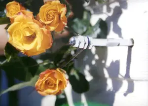 10 VE Versand-Kartondisplay -Floracord Rankhilfe in Seilspanntechnik - Stahl verzinkt - 10x Doppelblister