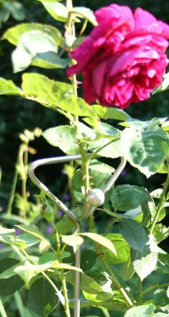 Premium Rankstab Handgriff 90 cm - mit Haken und Kugel - aus hochwertigem Edelstahl A4 als Rankhilfe für Stauden etc. und als Futterstab für Vögel