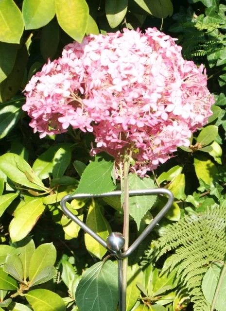 Premium Rankstab Handgriff 170 cm - mit Haken und Kugel - aus hochwertigem Edelstahl A4 als Rankhilfe für Stauden etc. und als Futterstab für Vögel