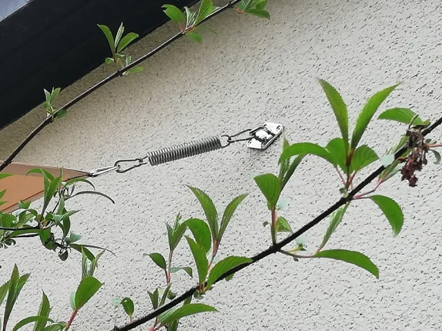 Zugfeder (Größe 5) - kurze Bauform aber mit hoher Federkraft