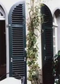 Rankhilfe in Seilspanntechnik aus Edelstahl - die Technik