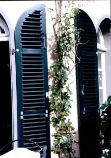 Flexible Rankhilfe in Seilspanntechnik für Kletterpflanzen: Praktische Garten-Tipps