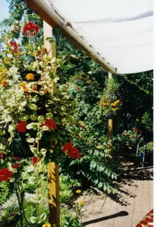 Sonnenschutzsegel parallel zu einer Hausfront gehalten über eine Pergolenkonstruktion