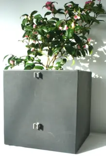 Pflanzgefäß mit 2x Wand-Clip - Camelie