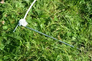 Langer Stabhering (30 cm) mit Spannkordel (4 m)