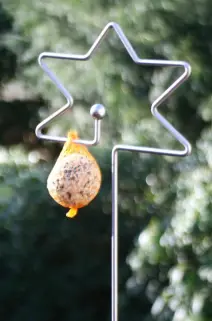 Futterstab Stern mit Meisenknödel