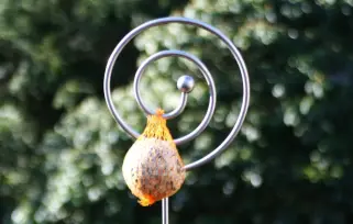 Futterstab Schnecke mit Kugel und Meisenknödel