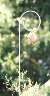 Edelstab Zierstab Evolvente mit Kugel als Futterstab mit Meisenknödel