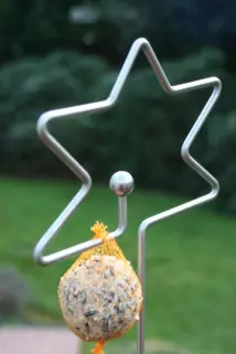 Futterstab Stern mit Kugel und Meisenknödel