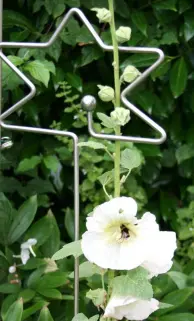 Edelstahl Zierstab Stern mit der großen Kugel und Stockrose mit Hummel